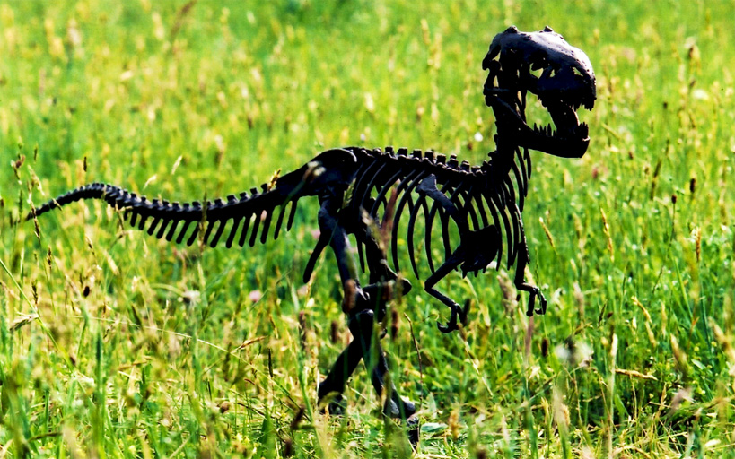 Cette petite sculpture fut la maquette du Tyrannosaure présent sur ce site.